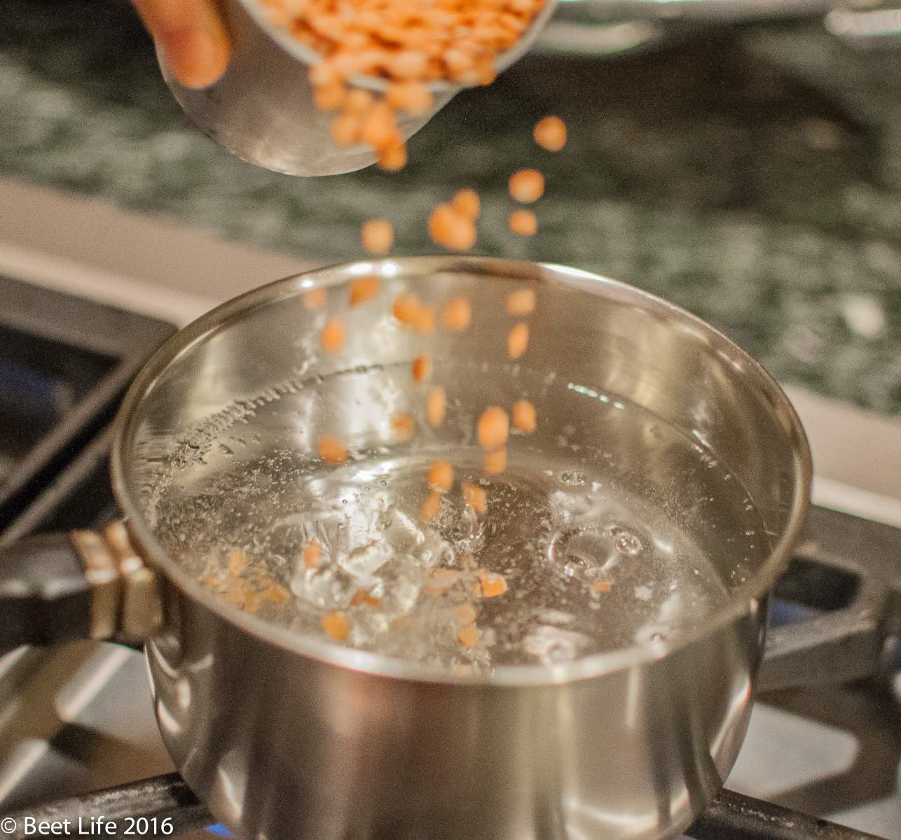 Garam Masala Spiced Red Lentil