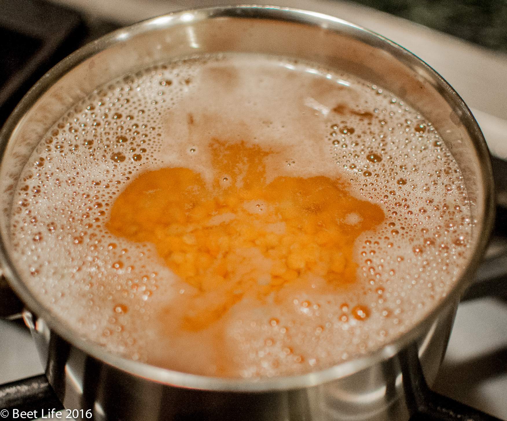 Garam Masala Spiced Red Lentil